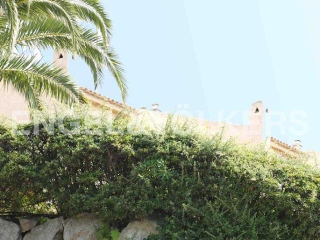A bit of Ibiza