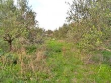 Land For Construction In Crete For Sale - 2