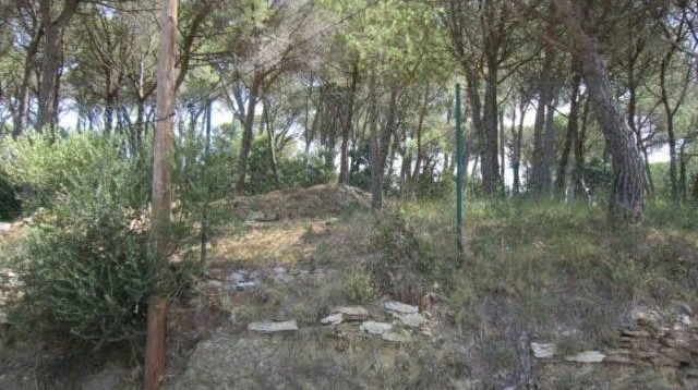 PLOT IN BEGUR