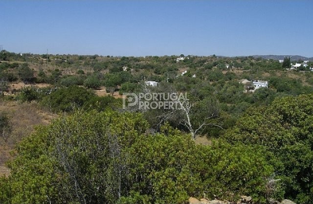 Great Plot of land - 2