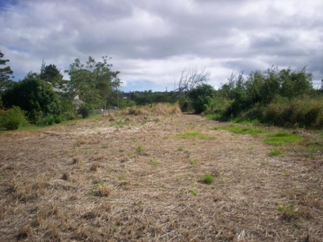 Property For Sale: Gibbes Hill Lot 17B..