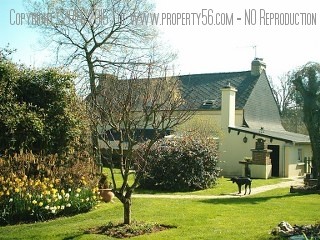 Modern House with Covered Pool - 2