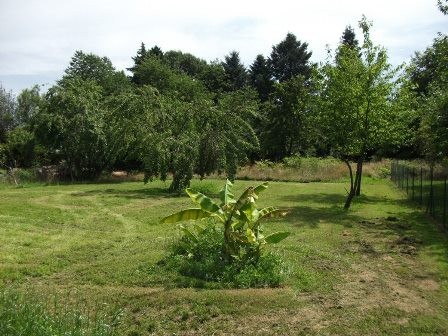 87 - Haute-Vienne - 2