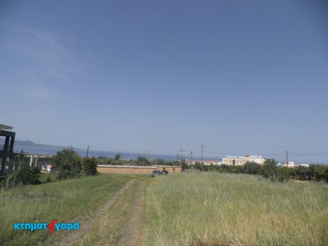 Residential Land in Argaka, Pafos