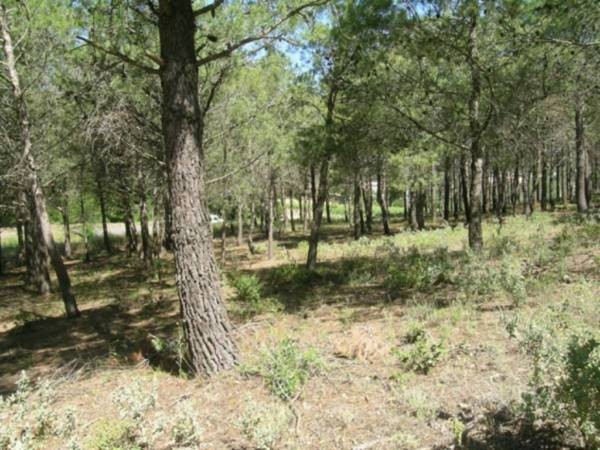 LARGE PIECE OF LAND IN BEGUR - 2