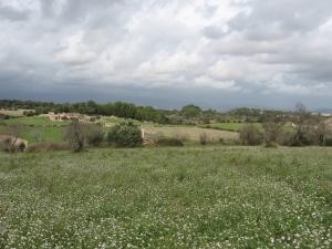 Finca plot between, Santa Margarita..