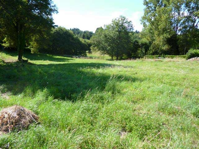 Building Plot Of 3195 m2 In The Haute.. - 2