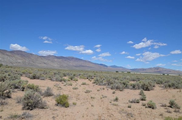 Land For Sale: Smith, Nevada - 2