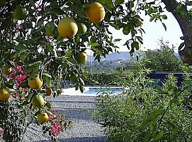 Villa - A property located in Vega.. - 2