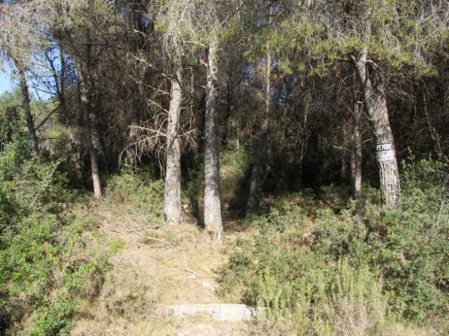Plot in Javea