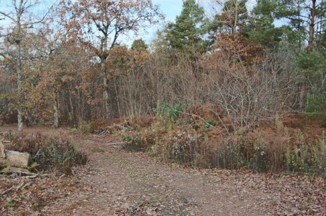 28107 - Vente - Terrain - Vergt