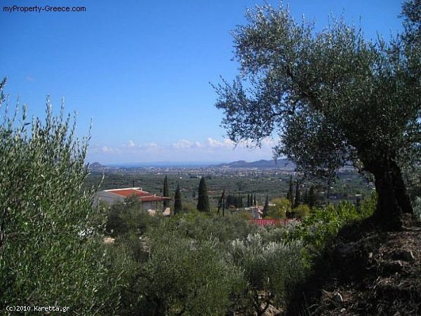 Land - Zakynthos - For Sale - 2