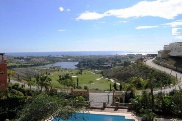 Royal Flamingos Bargain Sea View..
