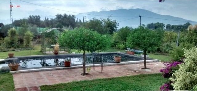 Villa - Country house of 3200m2 flat.. - 2