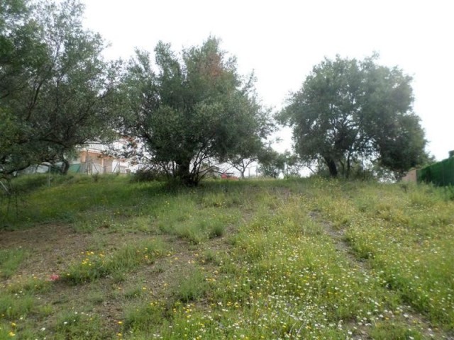 Land - GREAT DEVELOPMENT OPPORTUNITY..