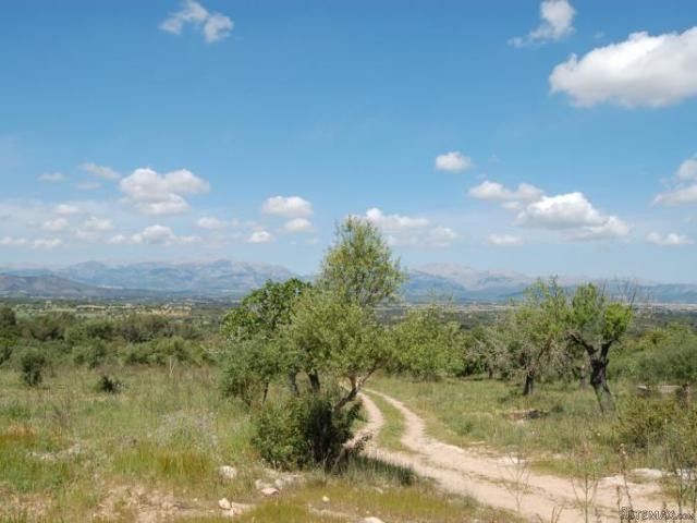 Large plot with great panoramic views.. - 2