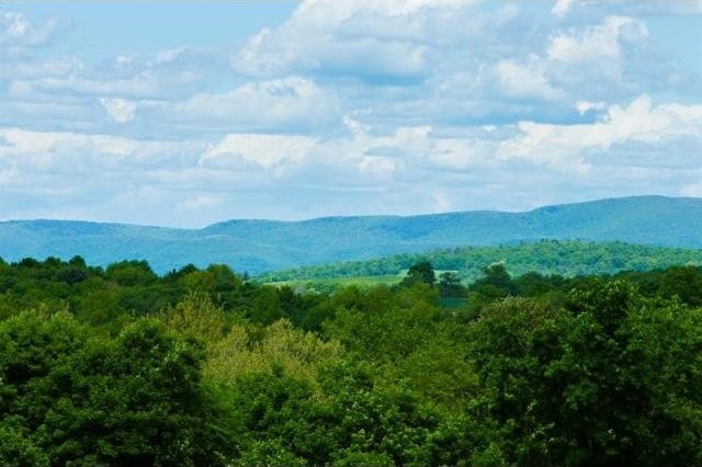 Land For Sale: Gallatin, New York