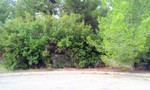 - Land - For Sale - 2