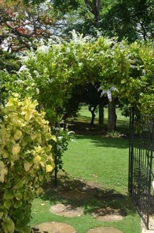 Property For Sale: Gibbs Hill Lot 2A.. - 2