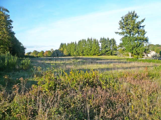 Building Land In Montbron, Charente Area