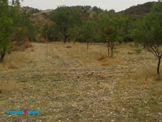 Agricultural Land in Marathounta, Pafos - 2