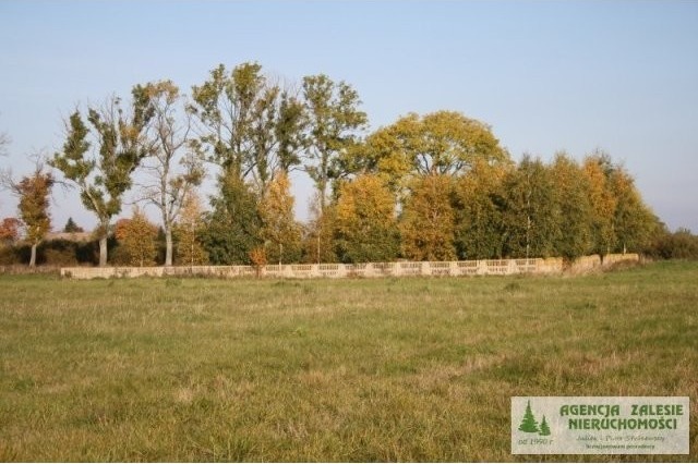 Plot for sale in Jezierzany (okolice.. - 2