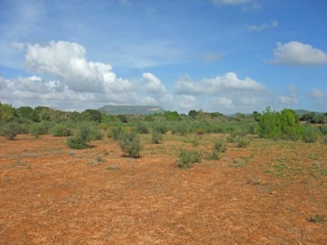 Large plot with perfect location in..