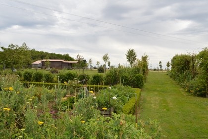 Lovely property with 2-bed gite and pool - 2