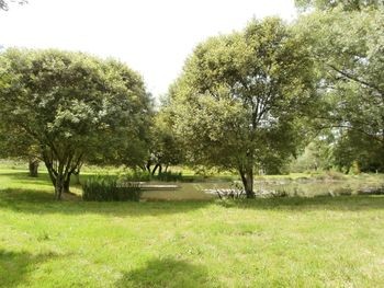 Beautiful Pond On 2,19acres