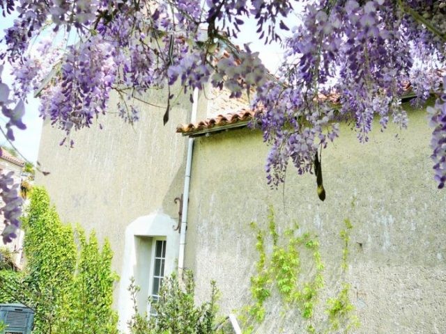 Maison De Village Charmante Avec Jardin..