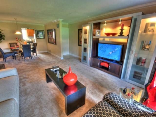 Prestigious Florida Investment Condos