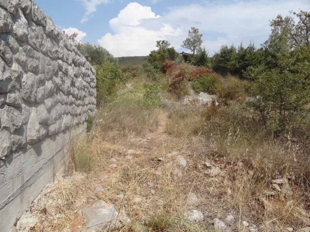 Land in Mrkovi, Luštica - 2