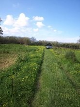 Land For Sale In Crete - 2