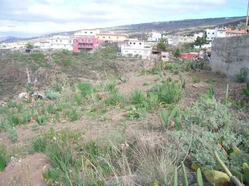 Land property for sale in Acojeja..