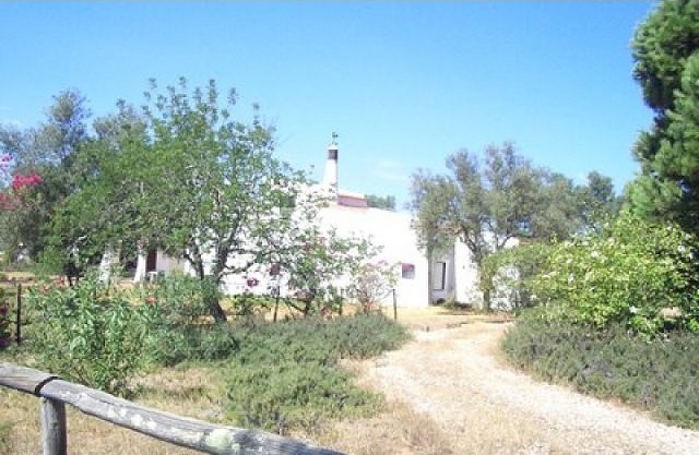 Private plot of land for development - 2