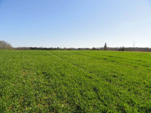 26016 - Vente - Terrain - Vergt - 2