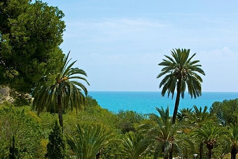 * FRONT LINE BEACH 3 BED APARTMENT