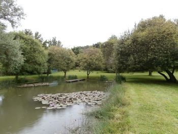 Beautiful Pond On 2,19acres - 2