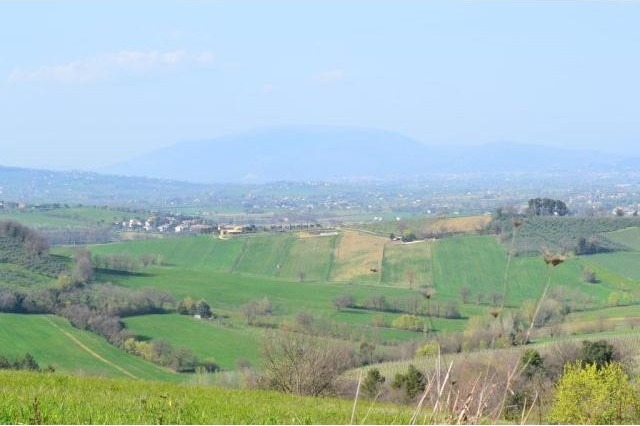 3 Bedrooms - Land - For Sale