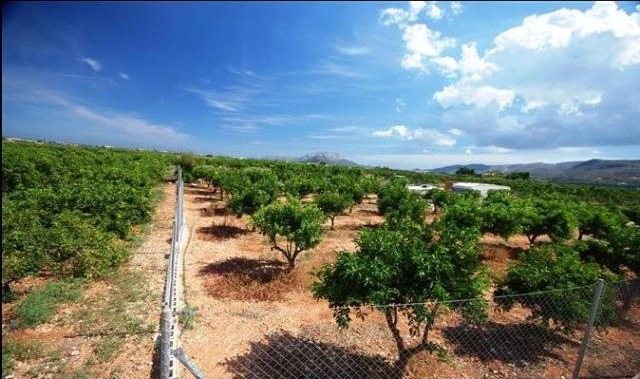 Plot For Sale Sanet y Negrals - Ref:..