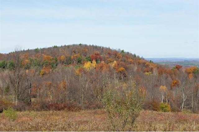 Land For Sale: Claverack, New York - 2