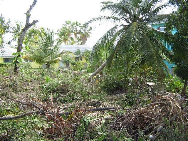 Singlefamilyvacant - Beautiful hillside..