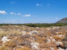 Building Land For Sale In Crete - 2