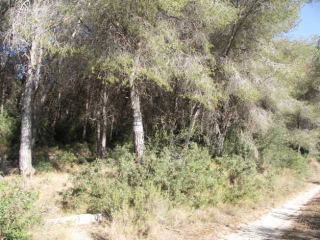 Plot in Javea - 2