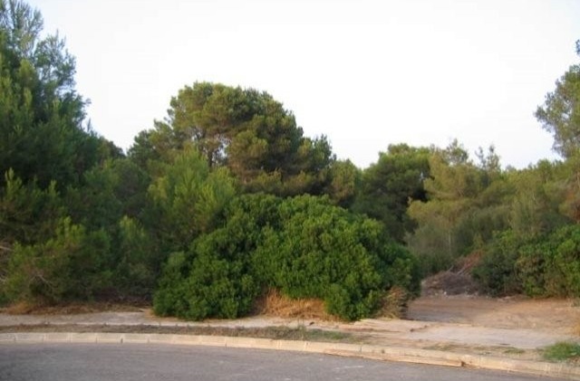 Flat Plot Of 1.802 M2 With Sea Views..
