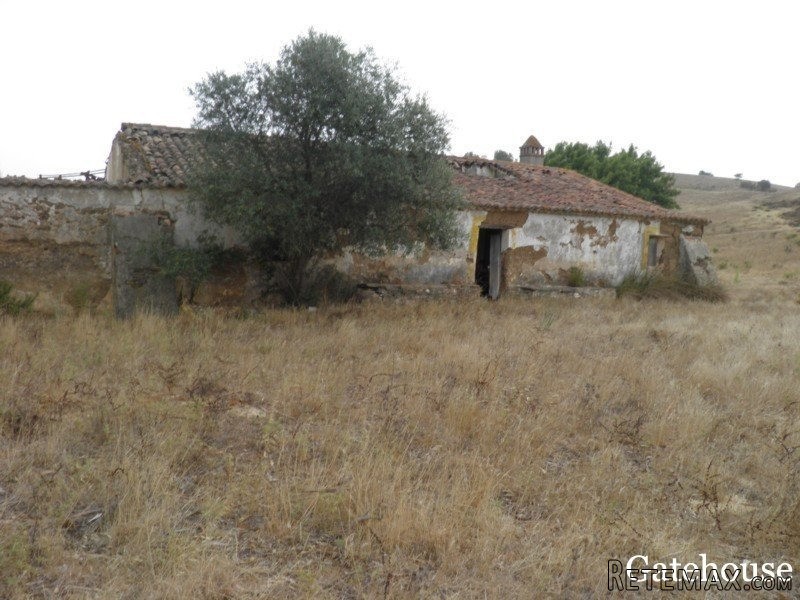 Portuguese 456,500m2 Farm For Sale Nr.. - 2
