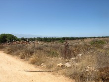 Chania Property For Sale