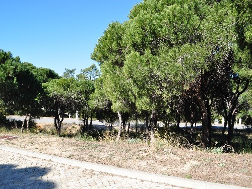 Fantastic Located Plot in Vale do Lobo.
