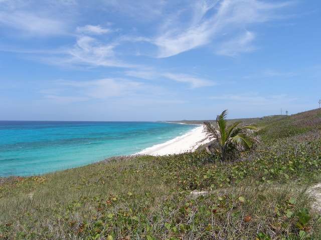 Singlefamilyvacant - This vacant lot is.. - 2