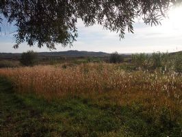 Building Plot Of 1351 M² On The Heights..